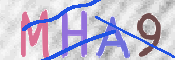 验证图片