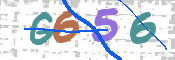 验证图片