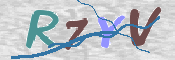 验证图片