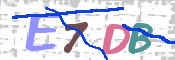验证图片