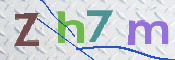 验证图片