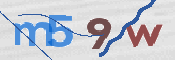 验证图片