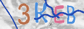 验证图片