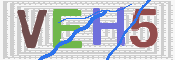 验证图片