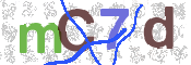 验证图片