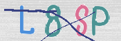 验证图片