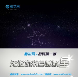 梅花网招募第1季1-2014